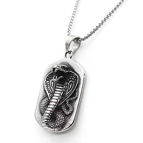 Necklace with store snake pendant