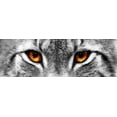 thumbnail image 2 of PhotoINC Studio 18x9 Gold Ornate Wood Framed with Double Matting Museum Art Print Titled - Lynx, 2 of 4