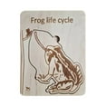thumbnail image 1 of Wooden Animal Life Cycle Puzzle Toy Growth Tray Desktop Ornament, 1 of 2