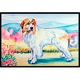 thumbnail image 1 of Carolines Treasures 7130MAT Tapis d'Extérieur Intérieur Pyrénées 18 x 27 Po, 1 of 4