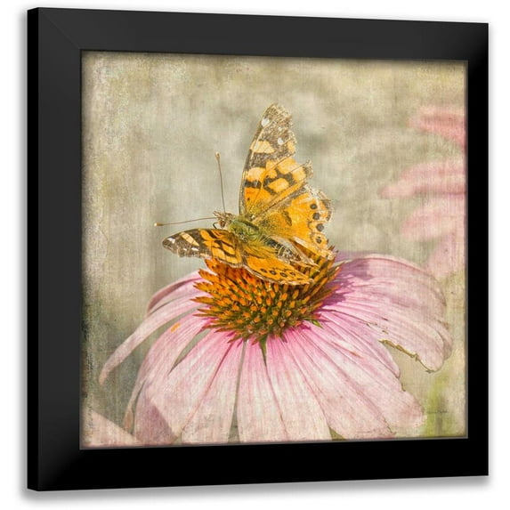 Murdock, Ramona 20x20 Black Modern Framed Museum Art Print Titled - Tattered Butterfly