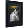 thumbnail image 2 of Trademark Fine Art "Symphony of Autumn" Canvas Art by Mathieu Rivrin, Black Matte, Black Frame, 2 of 4