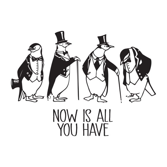 Now Is All You Have Group Of Penguins Kids Room Vinyl Wall Decal Wall Art Sticker Designs Vinyl Stickers For Home House Walls Rooms Windows Bedroom Decoration Size (12x12 inch)