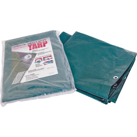ProSource T0608GS140 Mintcraft Heavy Duty Polyethylene Tarpaulin 6 By 8 Foot