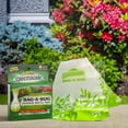thumbnail image 5 of Spectracide Bag-A-Bug Japanese Beetle Trap - 6 Replacement Bags, 5 of 6
