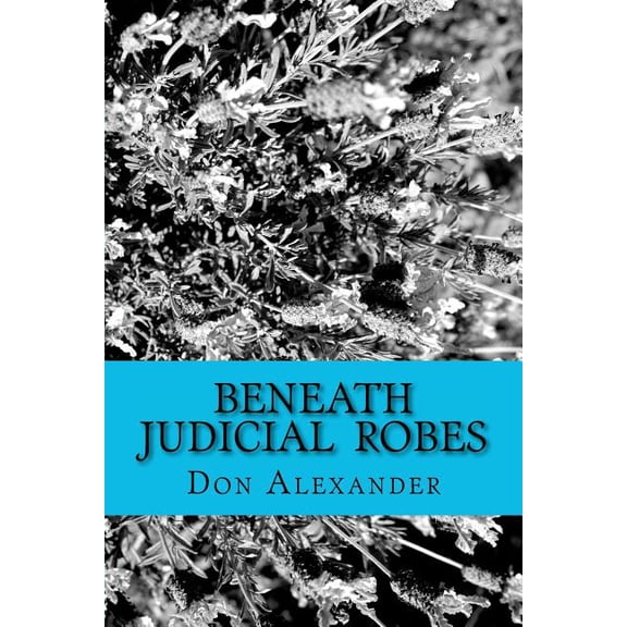 Beneath Judicial Robes : Criminal Lawyers and Judges
