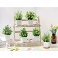 thumbnail image 3 of 1 pieza de pequeñas plantas artificiales en maceta, para mesa, estantería, baño., 3 of 6