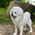 thumbnail image 4 of Houderco De Perro En PVC Para De Escritorio Y, 4 of 8