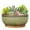 Green, variant on Terracotta Pot 8 inch Shallow Round Succulent Planter Bowl with Drainage & Bamboo Tray Flower Pots for Indoor Plants Cacti Bonsai Red
