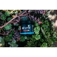thumbnail image 5 of REDMOND Re-Lyte Hydration Electrolyte Mix (Strawberry Lemonade), 5 of 5