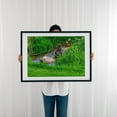 thumbnail image 3 of Cat Enjoying a Beautiful Stream on a Spring Day - Seven Valleys Pennsylvania Photography Cat Wildlife Nature Animal Scenic Garden Water Black Framed Wall Art Print 16 x 24 inches, 3 of 8