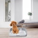 thumbnail image 1 of Inodoro portátil para perros, bandeja para orinal de entrenamiento para cachorros, bandeja para orinal para mantener la cama limpia, caja de arena de Gris Salvador Inodoro con bandeja de arena, 1 of 10