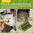 thumbnail image 5 of HavenJanny 100g Cat Grass Teething Stick – Indoor Cat Treat for Hairball Relief & Teeth Cleaning, 5 of 10