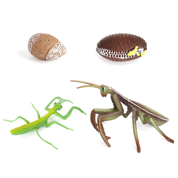 Vogacara 1 Juego de modelo de gusano de pala, Material plástico Premium, figuritas de insectos significativas, modelos de crecimiento educativo temprano Juguetes Educativos mantis NO25 Vogacara FN010083-25