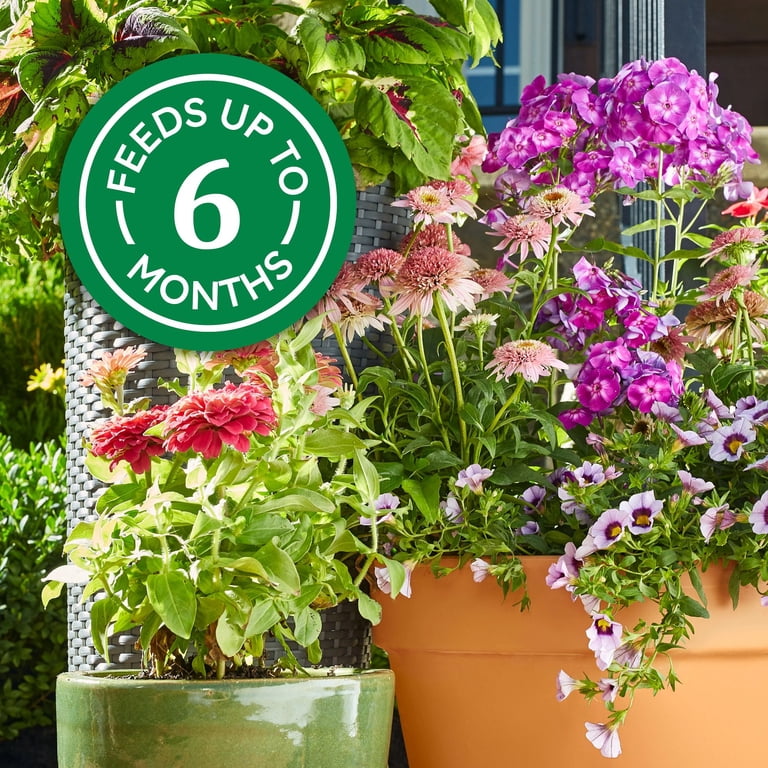 Osmocote Smart Release Plant Food Plus Fertilizer 1 lb for Indoor and  Outdoor Plants - Walmart.com