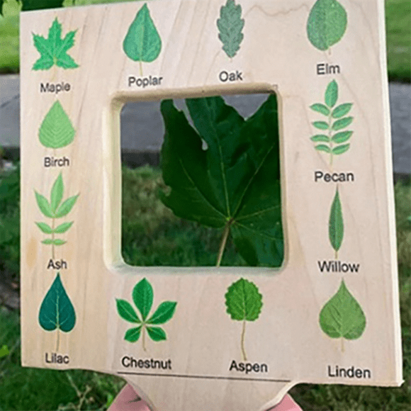 Nature Guide Finder Toddler Wooden Handheld Toy Double-Sided Board Outdoor Plant Children-B