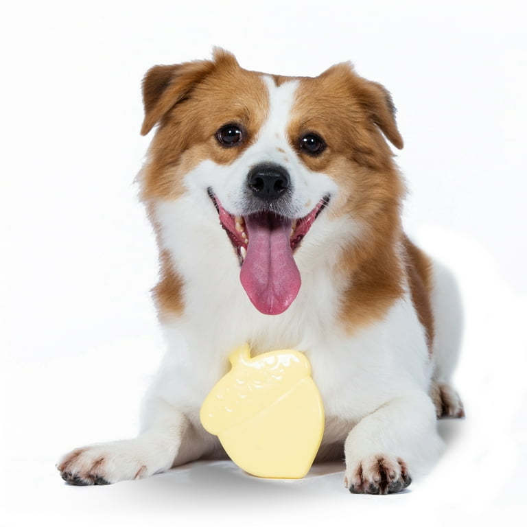 Dog ate stuffing out of toy top