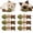 6PCS, variant on Catnip & Silvervine Chew – Dental Cleaning and Grinding Stick; Made of Natural Wood; Suitable for Chewing, Licking, and Batting; Helps Relieve Boredom.