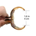 thumbnail image 3 of Clásicos para mujeres y niñas, 4 clips de garra medianos, ideales para levantarse el cabello fácilmente, perfectos para todo tipo de cabello, material plástico, negro y marrón, 3 of 5