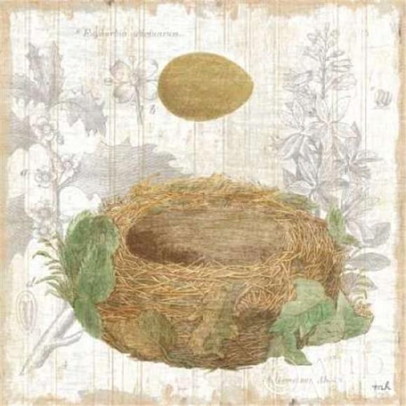 Wild Apple Graphics PDX8386SMALL Botanical Nest IV Poster Print by Moira Hershey, 12 x 12 - Small