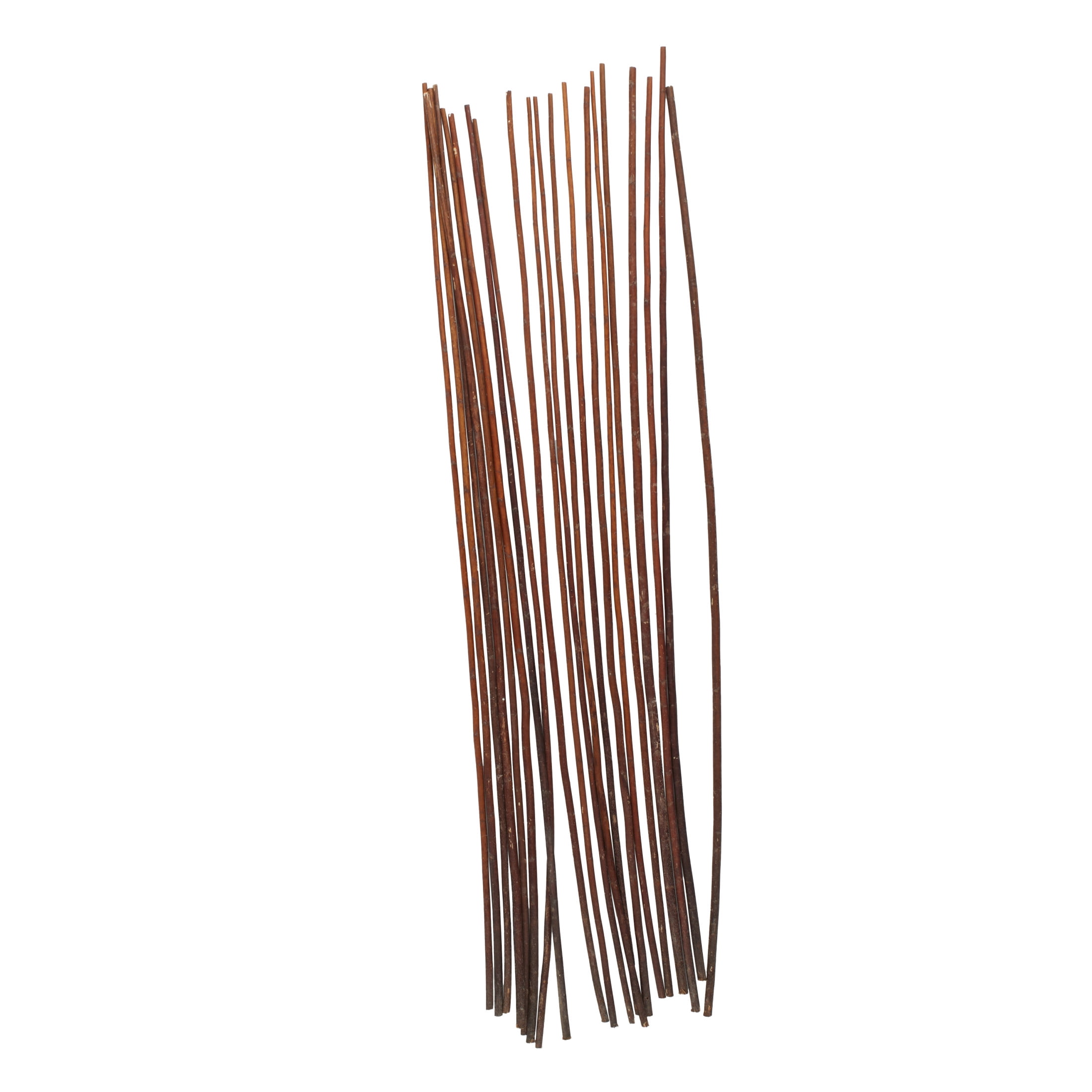 60" Tall Sticks Jute Rope Natural Foliage Bouquet, by DecMode