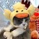 thumbnail image 5 of Sombrero para Mascotas NikouMX con Forma de Pato, 5 of 8