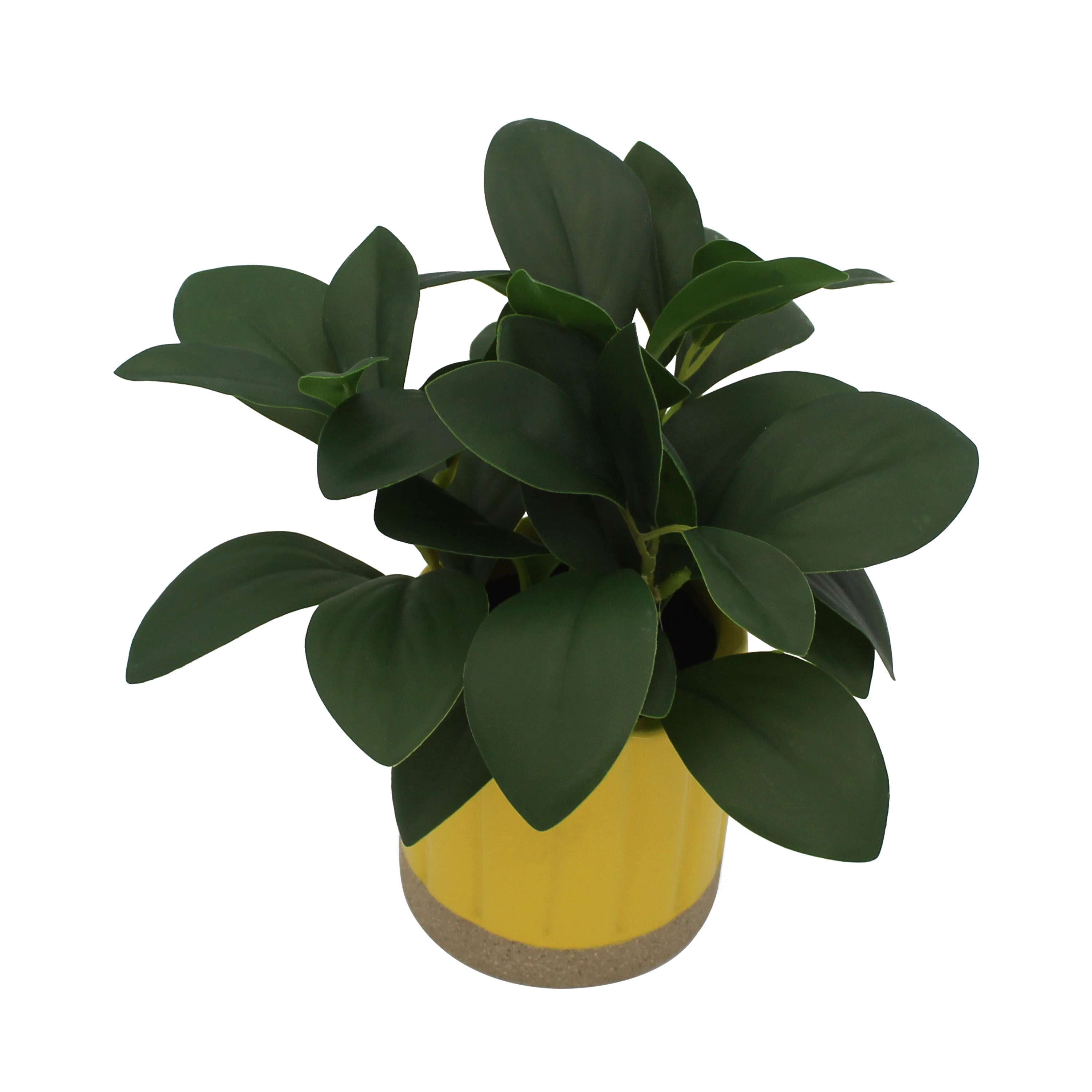 Mainstays by Becky G. & Alejandra 8 in Artificial Peperomia in Yellow Two-Tone Ribbed Ceramic Pot