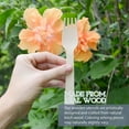 thumbnail image 2 of ERDOUY Disposable Wooden Forks - 100 Piece - 6" Length Eco Friendly Biodegradable Compostable Wooden Cutlery Set Wooden Utensils, 2 of 3