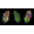 thumbnail image 2 of Phillip, Jamie 32x18 Black Ornate Wood Framed with Double Matting Museum Art Print Titled - Bubbly Tropics 1, 2 of 4