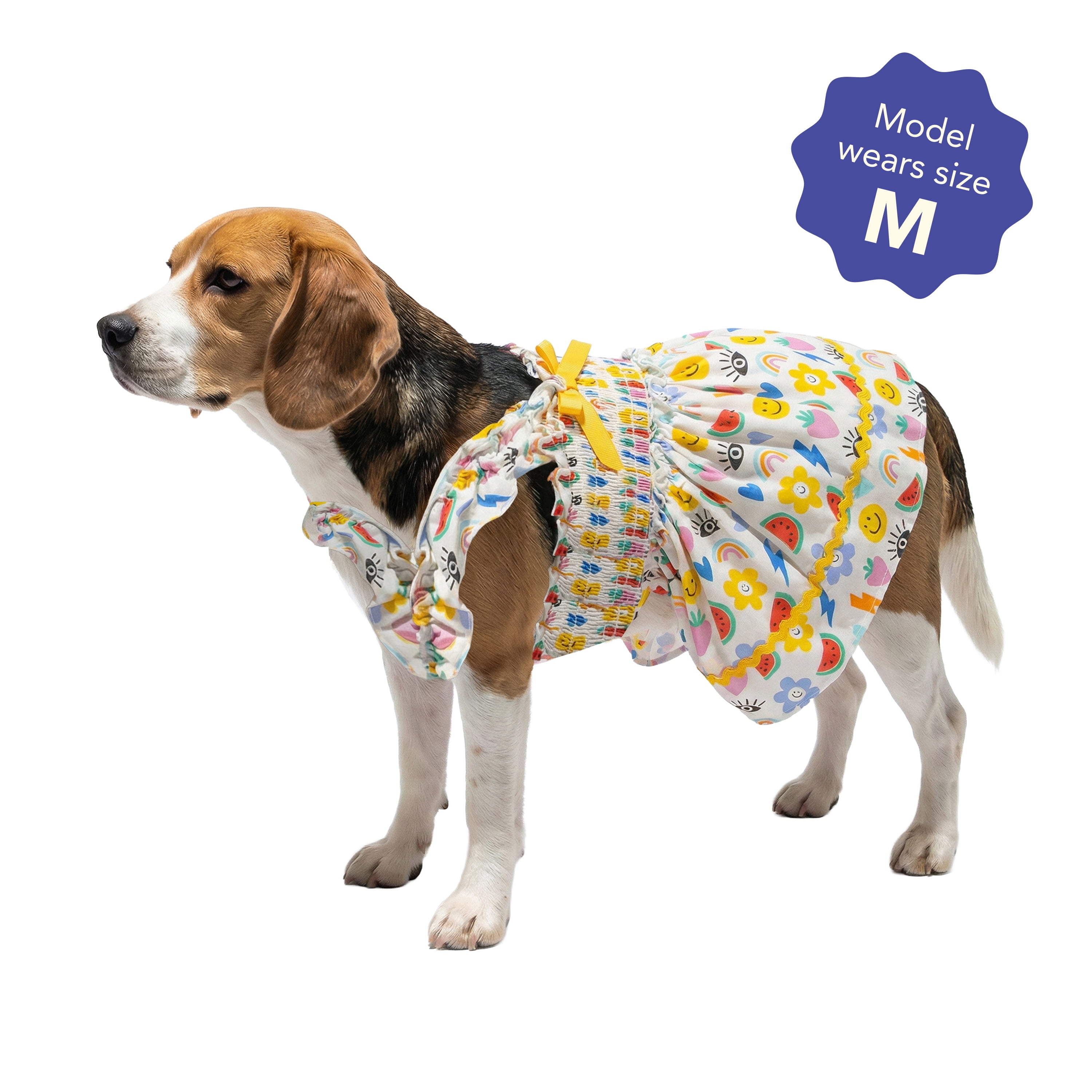 Oodles Multi-Colored Sassy Summer Icons Ruffled Spring Dog Dress, Medium