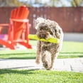 thumbnail image 4 of Juguetes para Perros Grandes Hyper Pet Chewz Verde de Espuma EVA Ligera y Resistente, 4 of 8