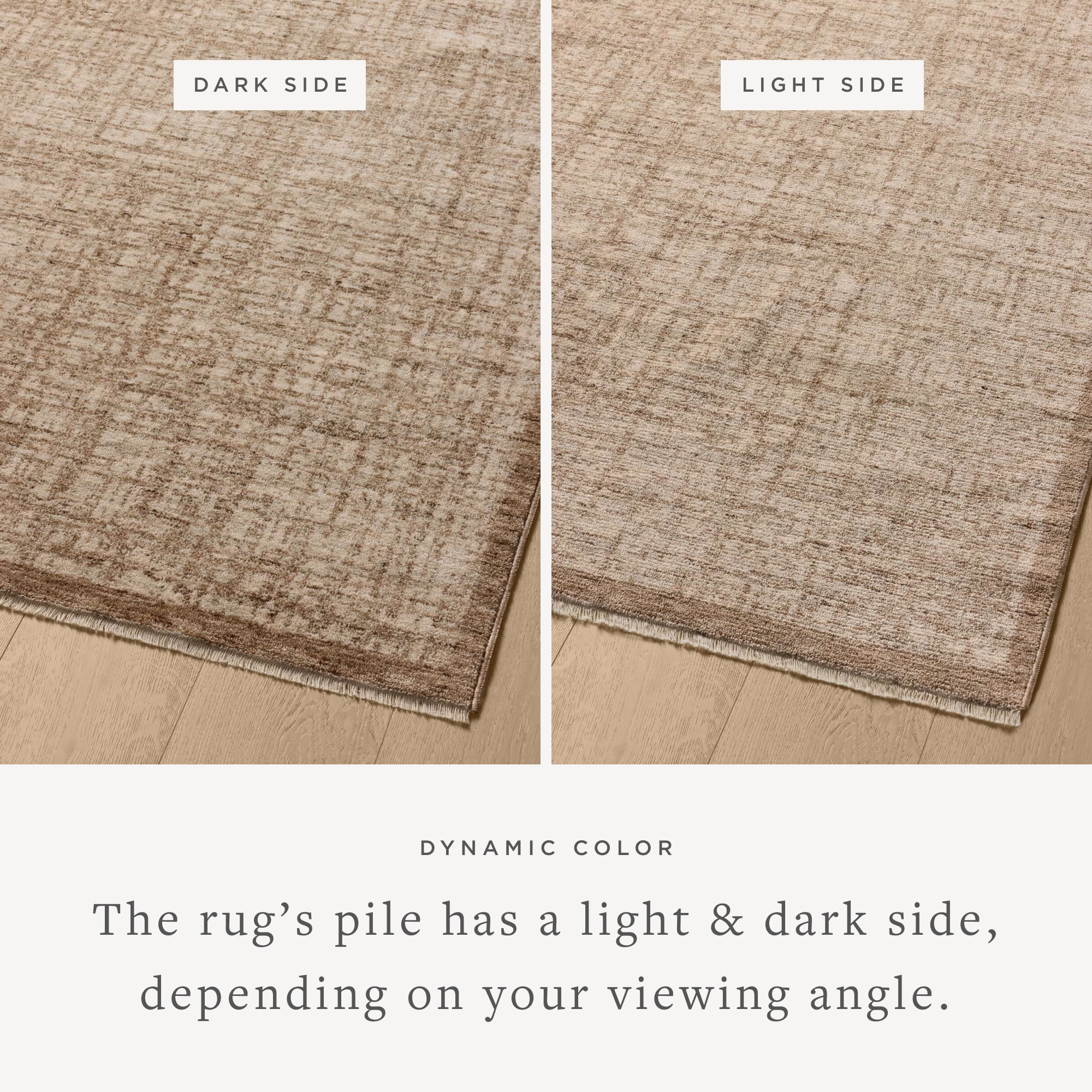 Loloi Winston Earth / Bone 7'-10" x 10'-2" Area Rug