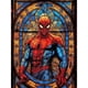 thumbnail image 1 of Pintura de diamante 5D DIY Wdftyju Hombre Araña Vitral Taladro Redondo Completo 30x40cm, 1 of 9