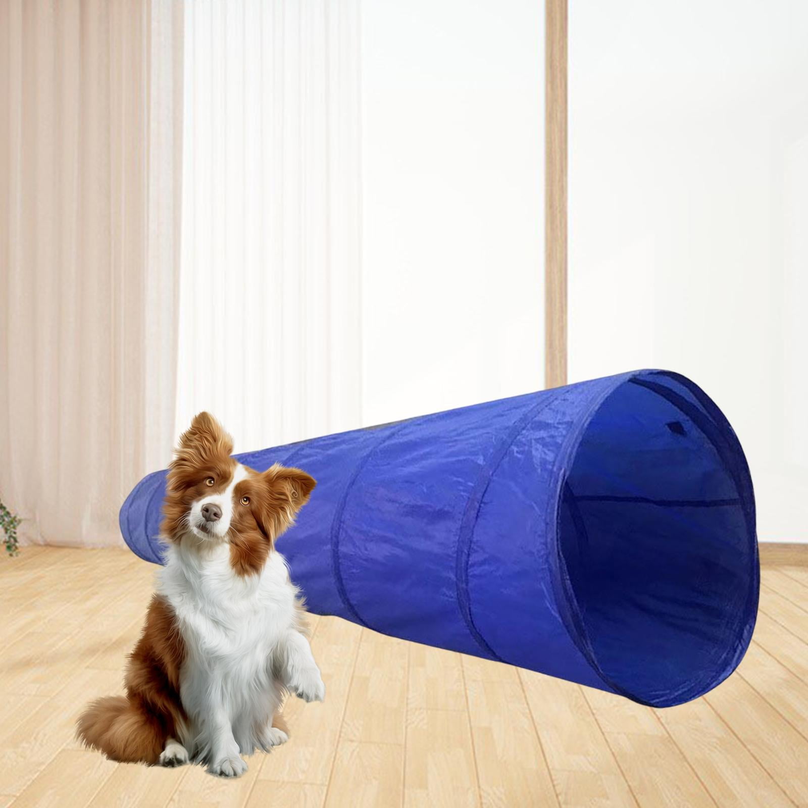 Portable Dog Agility Training Tunnel Tube Interactive Toys Exercising portable-dog-agility-training-tunnel-tube-interactive-toys-exercising