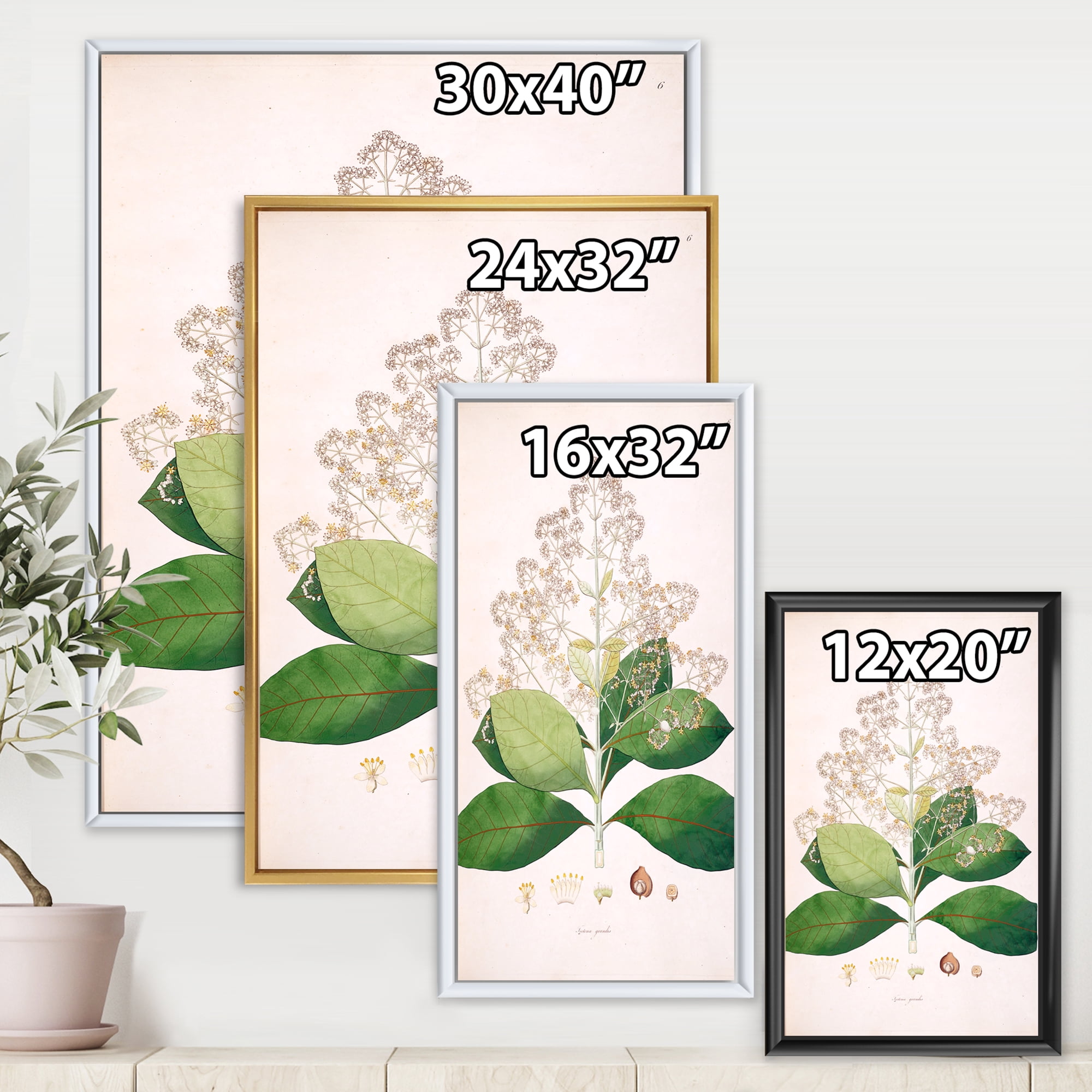 Designart 'Ancient London Plants III' Farmhouse Framed Canvas Wall Art Print