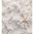 thumbnail image 3 of Ambesonne Summer Duvet Cover Sets, Close Up Photo of Starfish, 2-King, Dust and Beige, 3 of 7