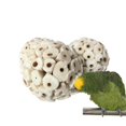 thumbnail image 2 of Natural Sola Balls Soft Chew Foraging Bird Toy For Rabbit Parrots Chinchillas Hamster Guinea Pig He Qiyong unisex, 2 of 2