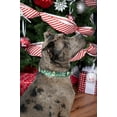 thumbnail image 3 of Country Brook Petz® Christmas Cheer Martingale Dog Collar Limited Edition, 2XS, 3 of 7