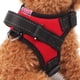 thumbnail image 4 of Chaleco de seguridad para perrosChaleco para mascotas cómodo y transpirable de mallaSin tirones, 4 of 5