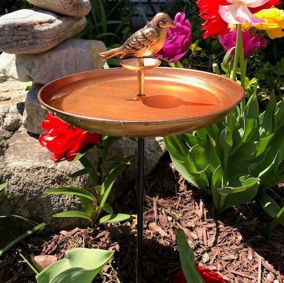 Bird and Butterfly Oasis Pollinator Bird Bath