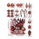 thumbnail image 3 of Juego de adornos de 16 piezas para bolas navideñas - bolas colgantes coloridas con hebillas metálicas para decoraciones del árbol de Navidad, 2,8 pulgadas, 3 of 5