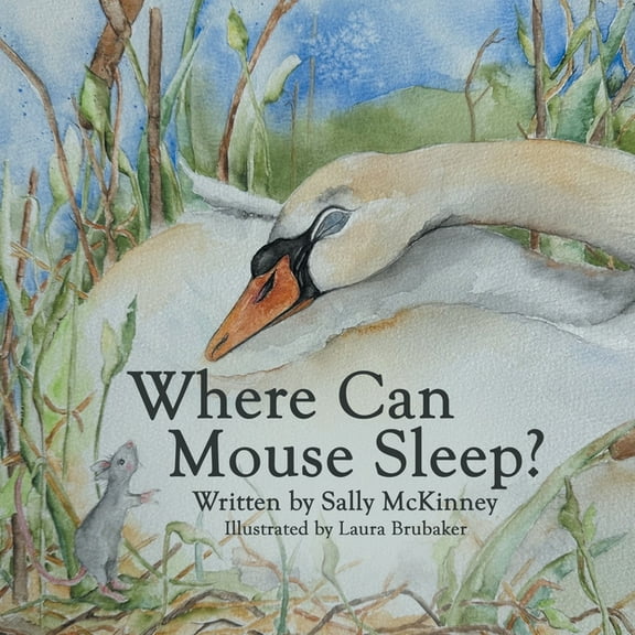 Where Can Mouse Sleep?, (Paperback)