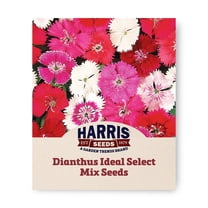 Harris Seeds - Dianthus Ideal Select Mix F1 Flower Seeds - 250 Seeds