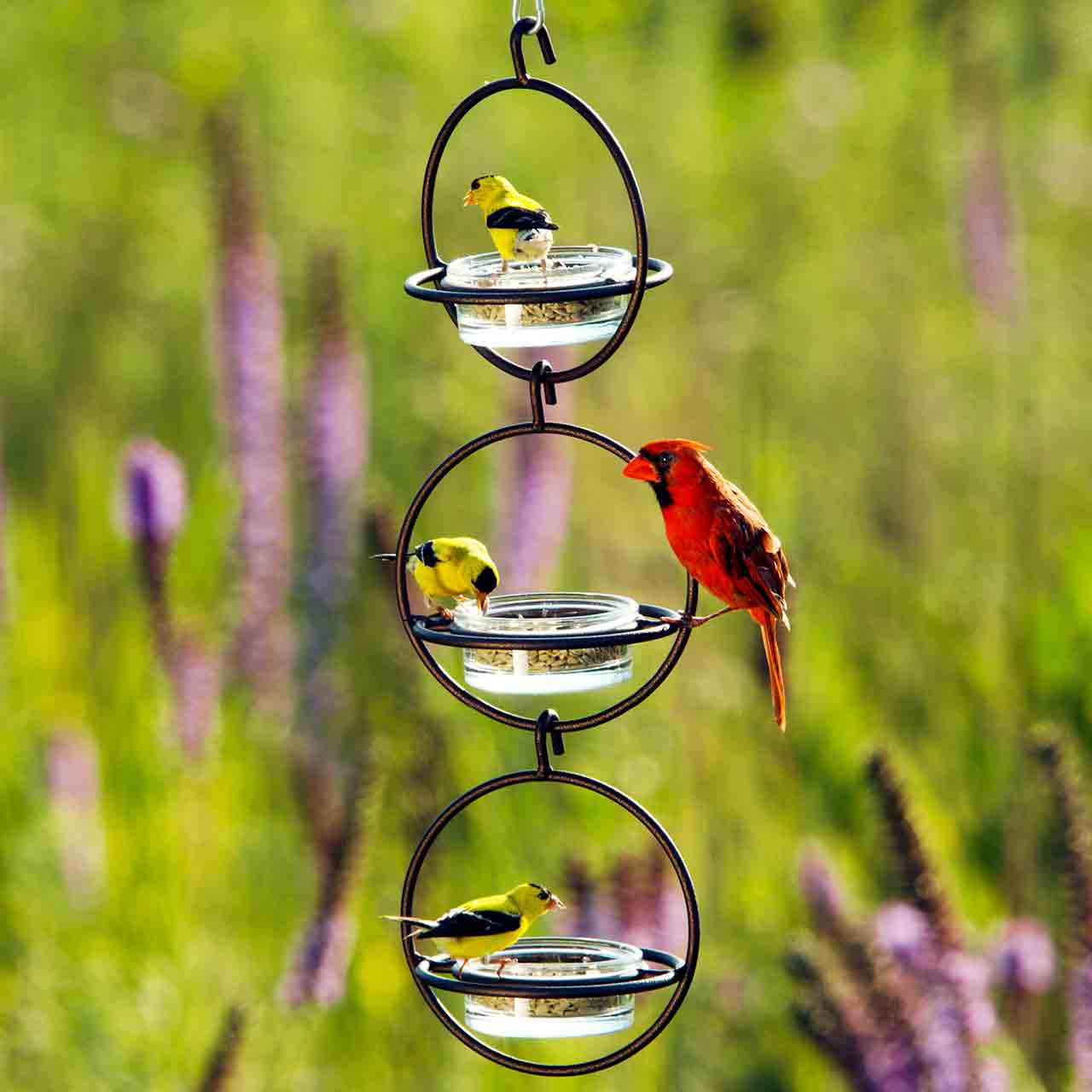Mosaic Birds Hummble Bold Hanging Bird Feeder for Outdoors, Oriole, Finch Wild Bird Feeders - Red