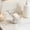Clear, variant on FEOLGEHLY Small Bear Soap Box, Suction Cup Soap Container, Drains Layout Soap Bar Holder, Plastic Soap Box Holder, For Bathrooms Kitchen Non Punching (Beige)
