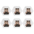 thumbnail image 2 of Bingfone Vintage Cat Holding Mugshot Sign Leather Drinks Coasters With Set Of 6,Suitable For Home Kitchen,Coffee Cup Coasters Home Gift, 2 of 9