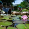 thumbnail image 2 of Aquascape 77020 Pond Waterfall Filter, 2 of 7