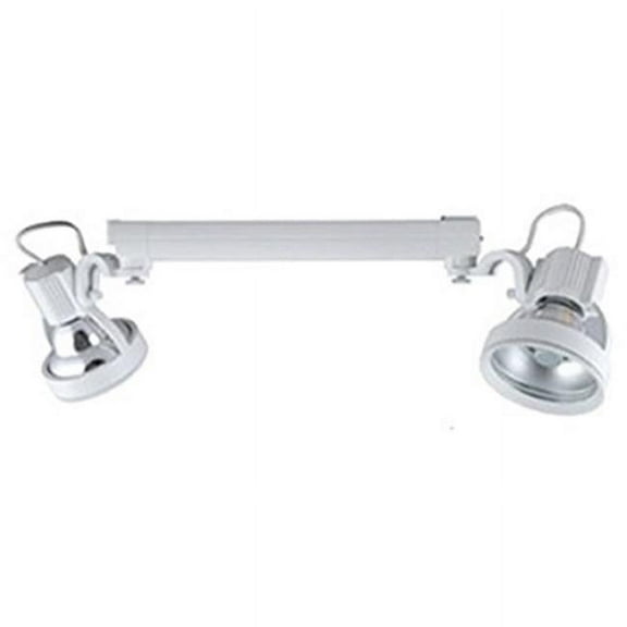 39W Metal Halide T6-G12 24 deg Track Light Fixture, Silver