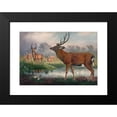 thumbnail image 2 of Joseph Wolf 14x11 Black Modern Framed Museum Art Print Titled - The Mantchurian Deer (1861-1867), 2 of 5