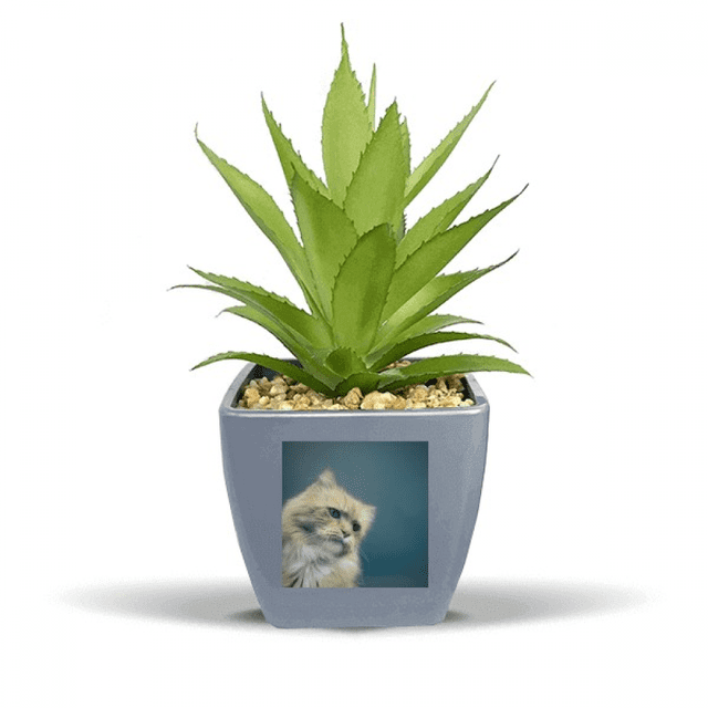 animal Bleu Chat Photographie Faux Pot de Fleurs Ananas Vase Mini Décor